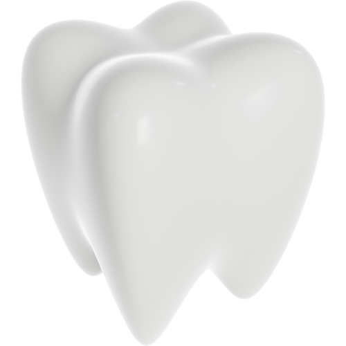 라이나손해보험 치아보험